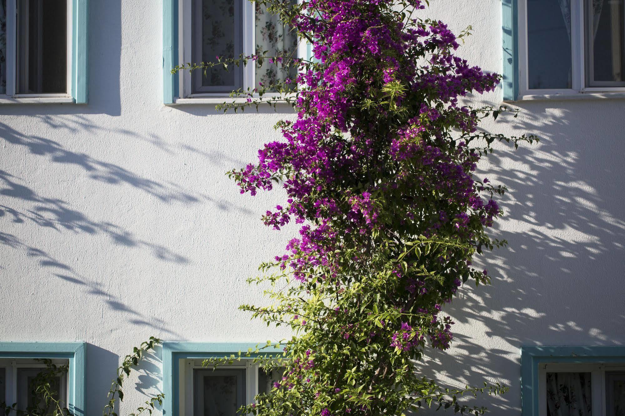 Istanbul Hotel Bodrum Türkbükü Exterior foto